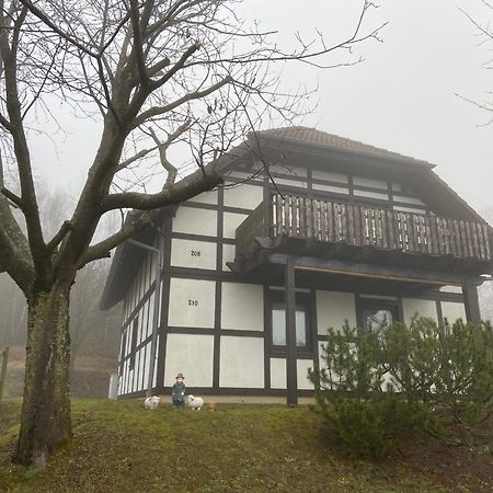 Ferienwohnung Lix Direkt Am Waldrand Frankenau エクステリア 写真