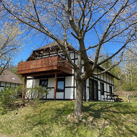 Ferienwohnung Lix Direkt Am Waldrand Frankenau エクステリア 写真