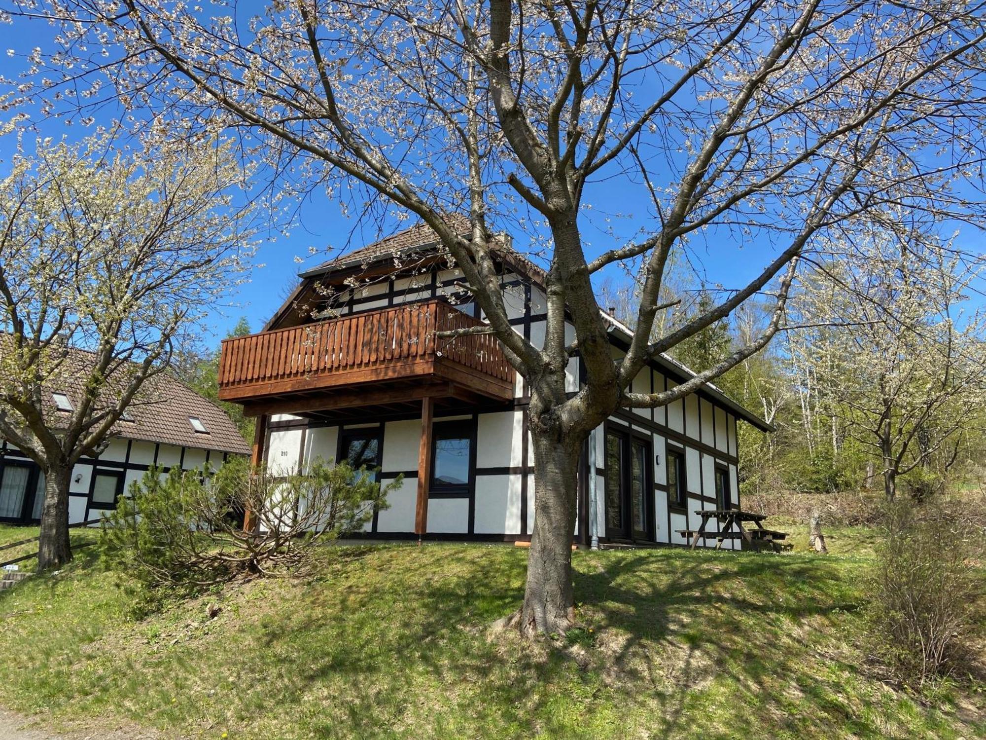 Ferienwohnung Lix Direkt Am Waldrand Frankenau エクステリア 写真